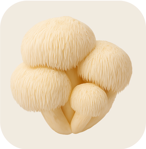 Lion's Mane