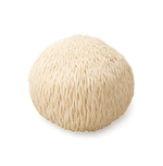 Lion's Mane