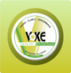 Voke Clarity Pouches - Crisp Key Lime