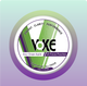 Voke Clarity Pouches - Sour Grape Apple